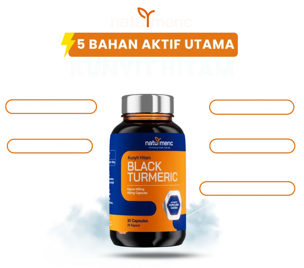 5 bahan aktif utama naturmeric